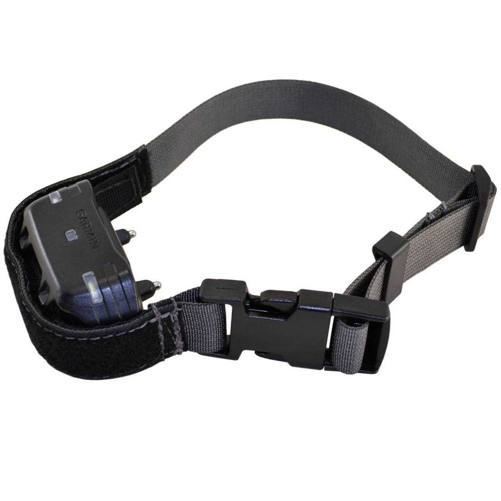 Collar I538