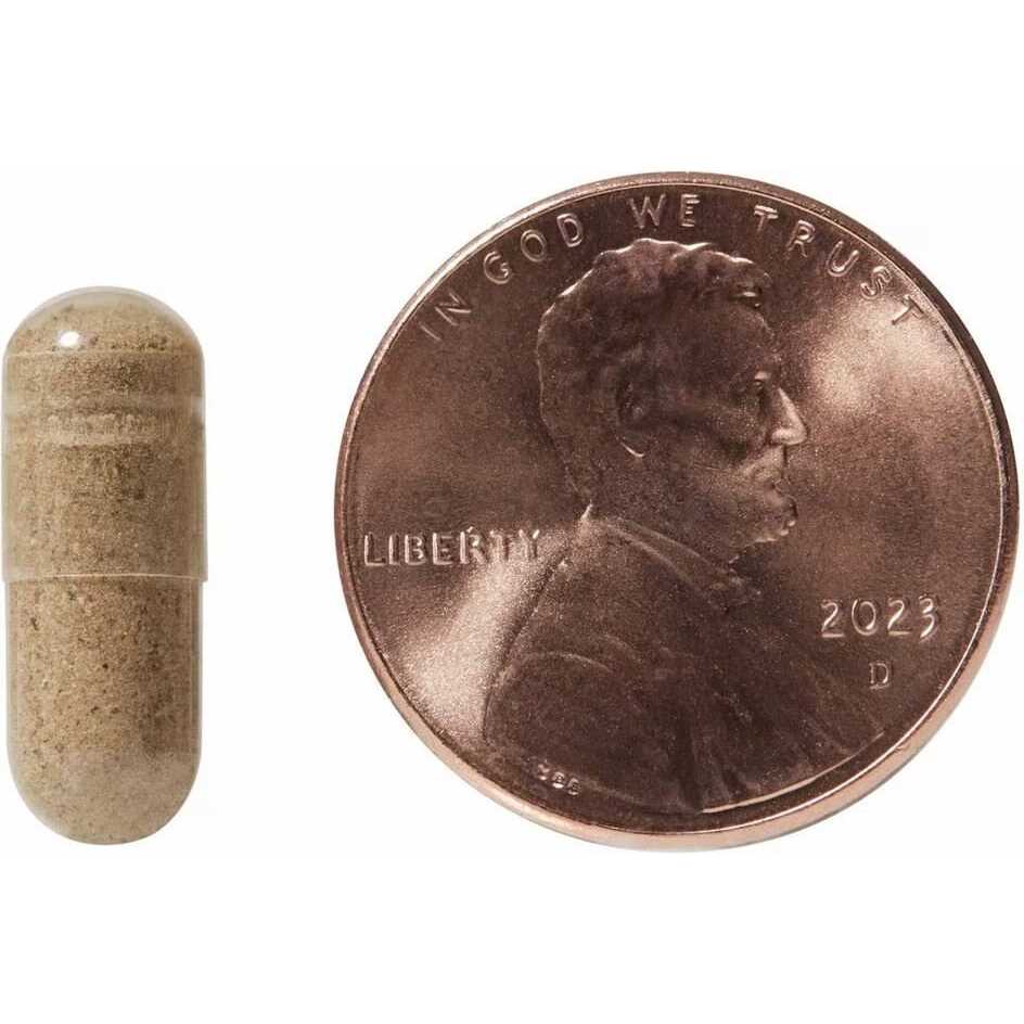 Cat Supplement V357