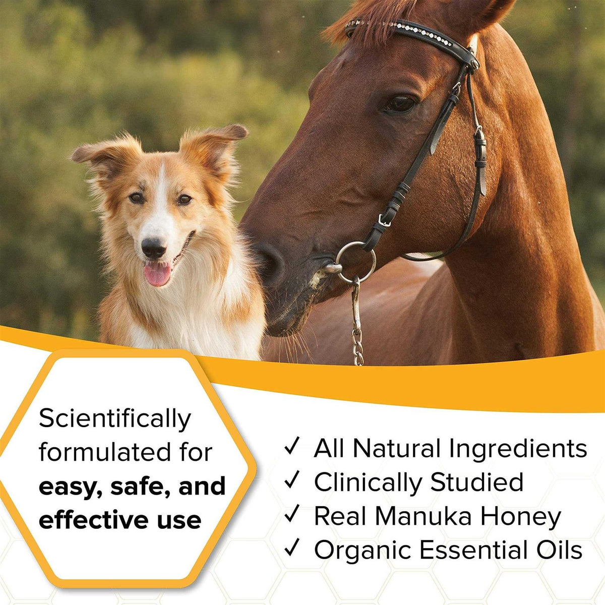 Natural Veterinary Ointment R5892