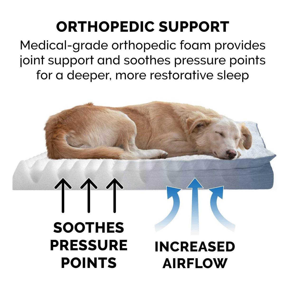 Mink Fur & Suede Pillow-Top Orthopedic Dog Bed N40768