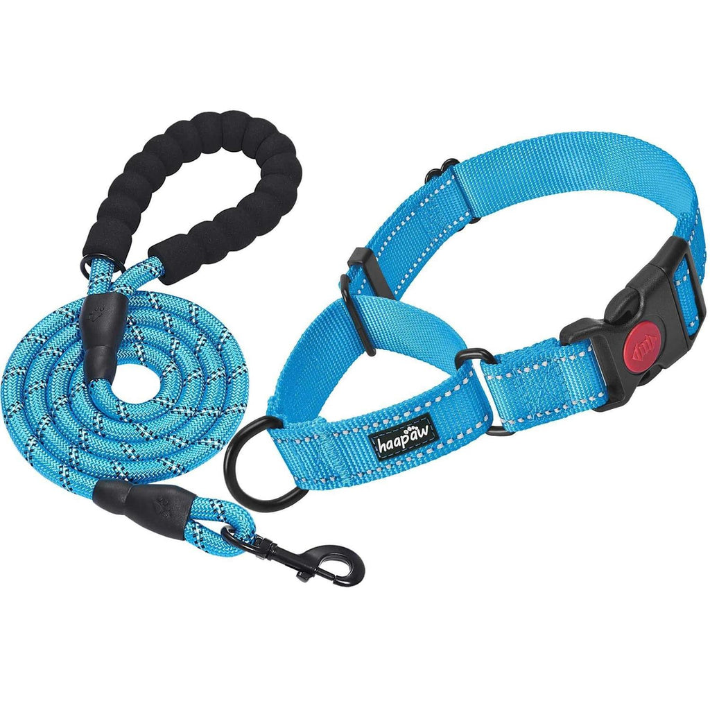 2 Packs Reflective Martingale Dog Collar C75197