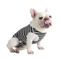 Dog Diapers Sanitary Panties Pet Recovery Suit Q447937