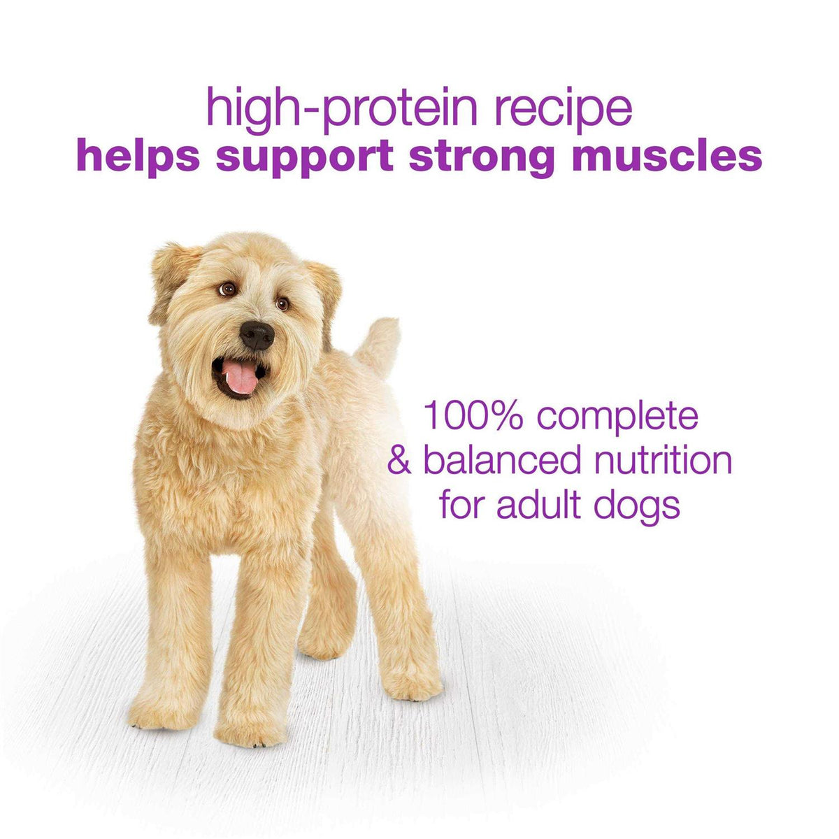 With Chicken Carrots Peas & Wild Rice Wet Dog Food Q47029