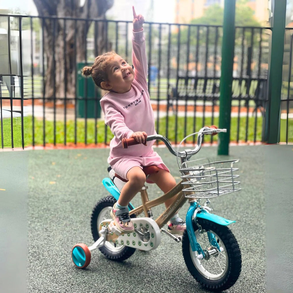 12 Inch Kids Bike with Training Wheels & Basket C3065