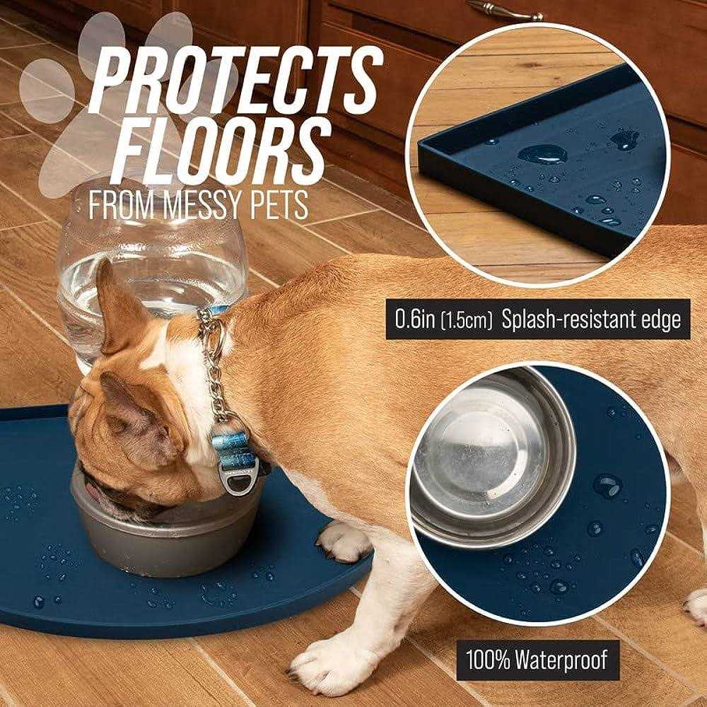Silicone Water Fountain Mat Q463774