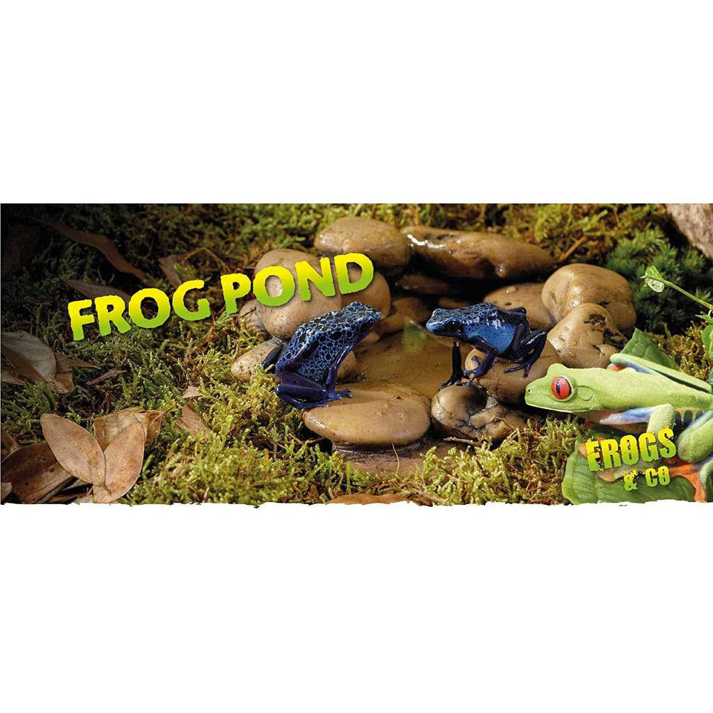Frog Pond V31575