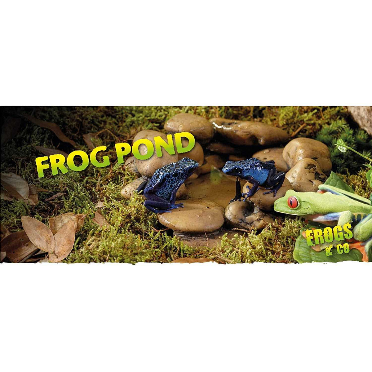 Frog Pond V31575