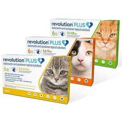 Revolution Plus for Cats 11.1 J79305