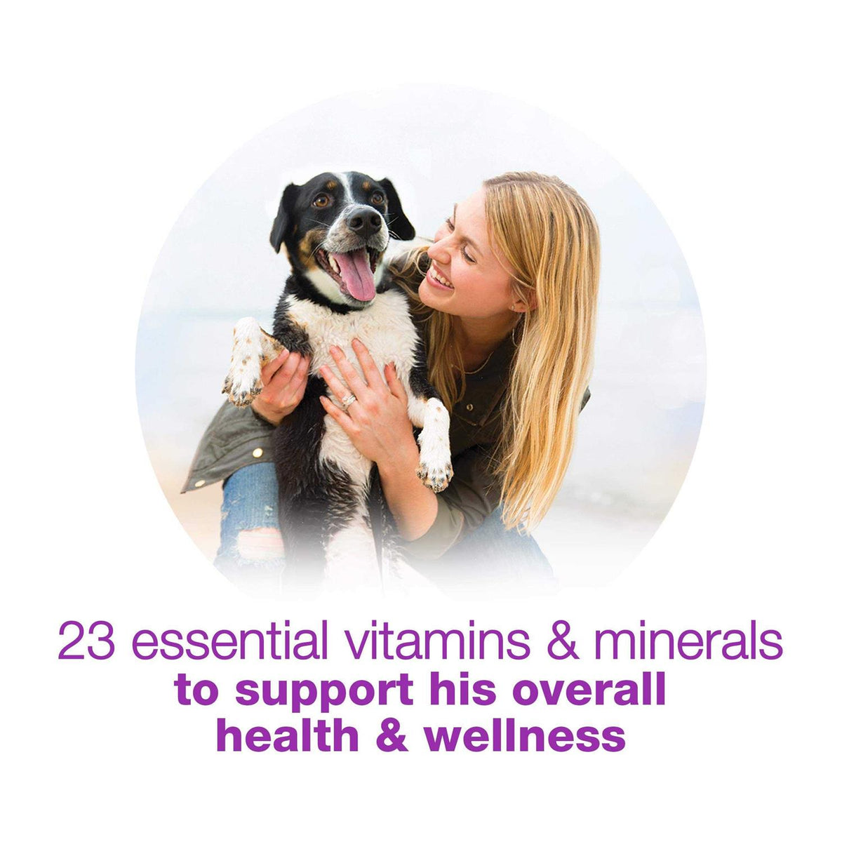 With Chicken Carrots Peas & Wild Rice Wet Dog Food Q47029