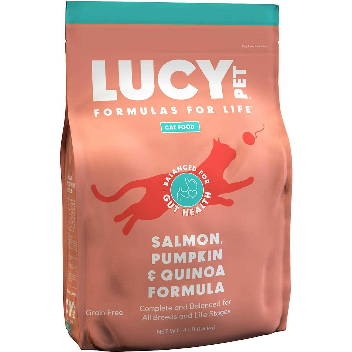 Dry Cat Food Salmon U574424