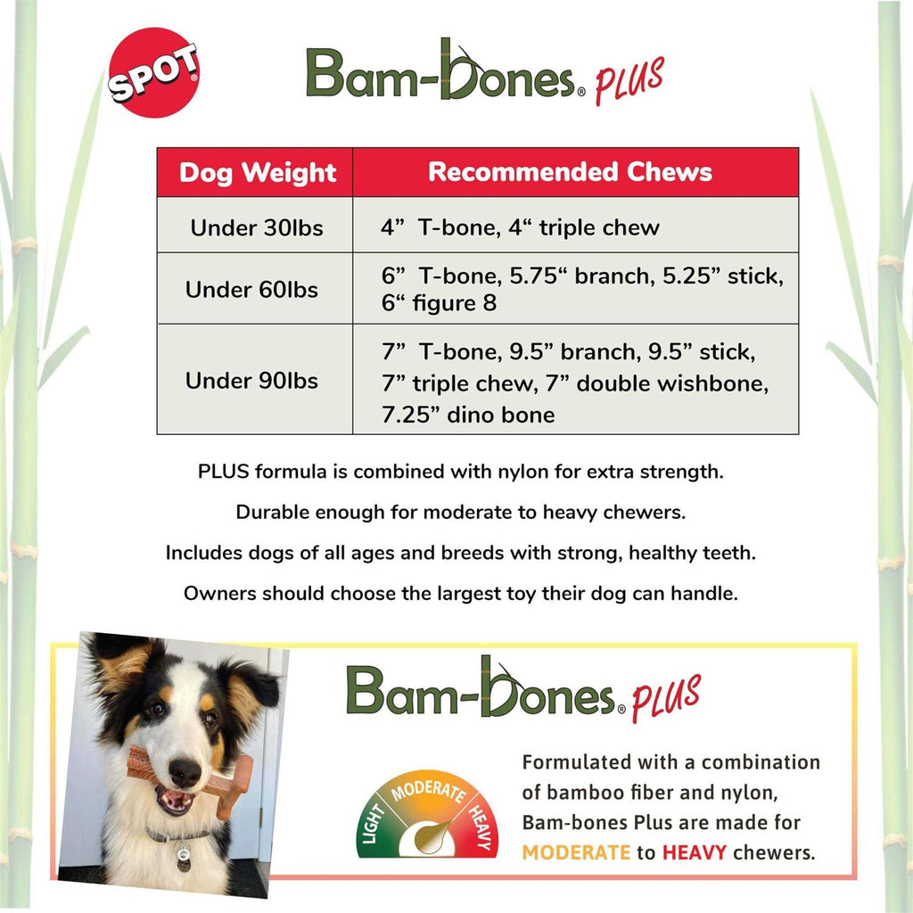 Beef Bone P9454
