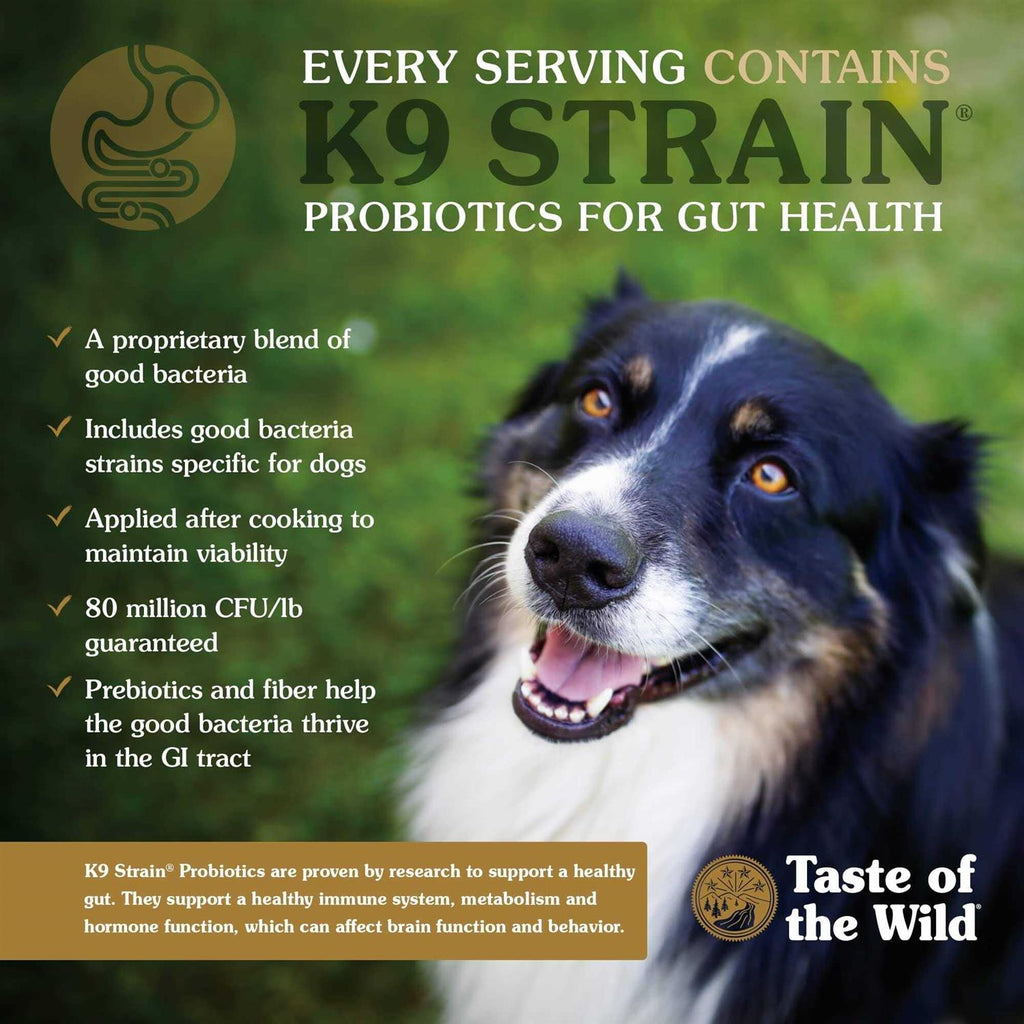 Smoked Salmon Dog Food X968135