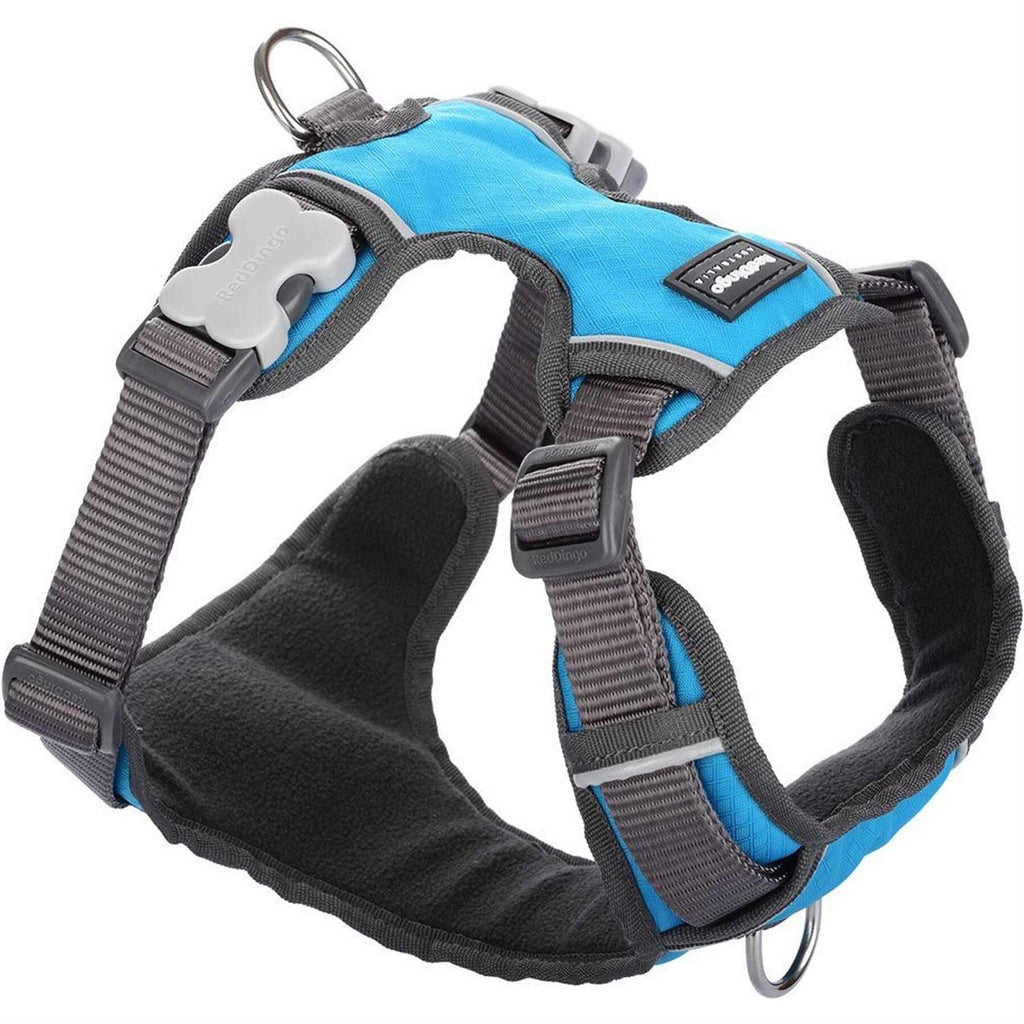 Padded Dog Harness B8029