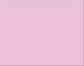 Pink 4-ply Poster Board D6717