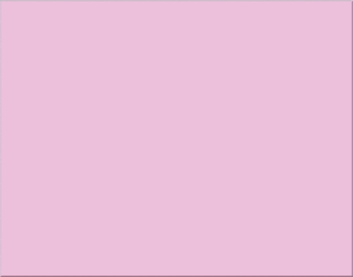 Pink 4-ply Poster Board D6717