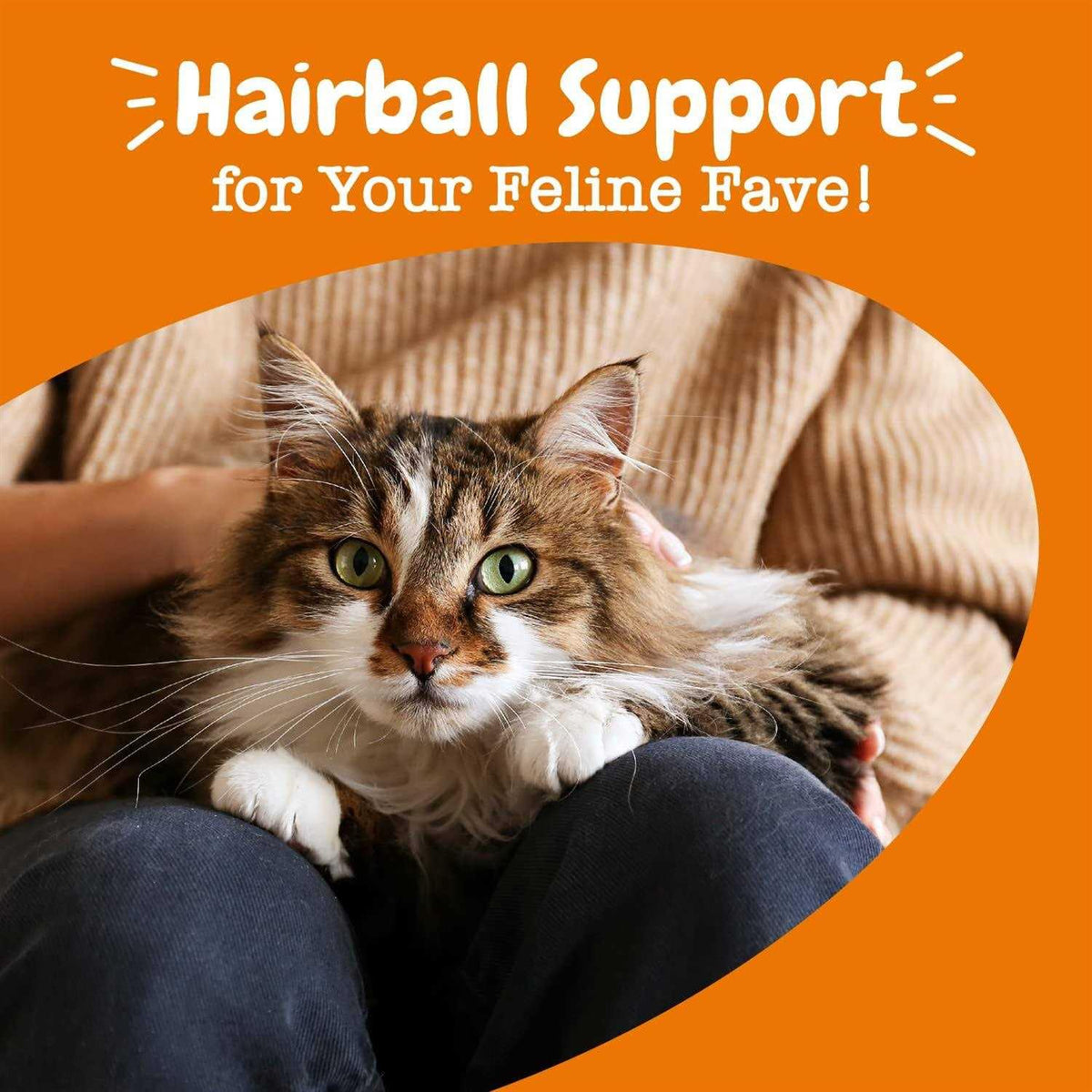 Hairball Bites for Cats E37722