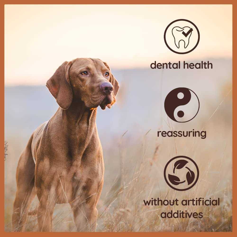 Chew Root for Dogs M491083