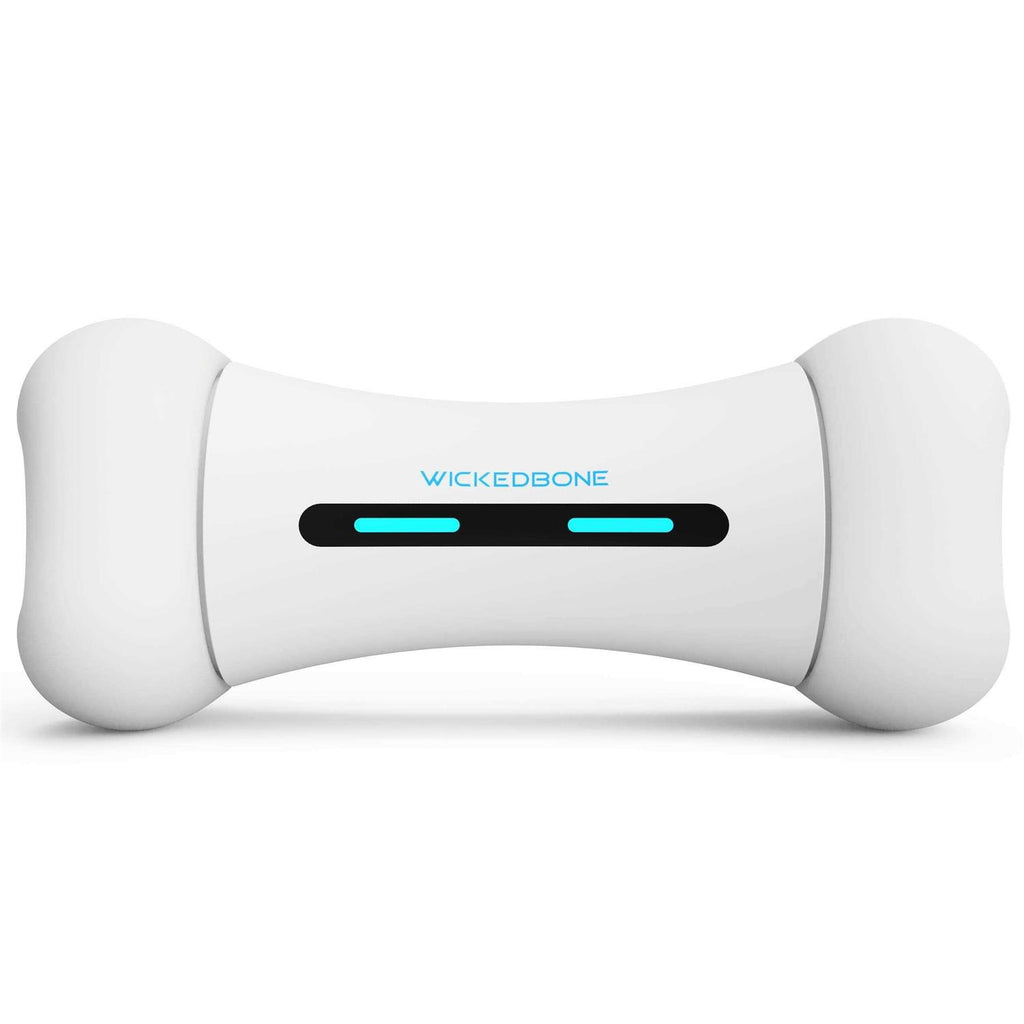 Interactive Dog Toy W46421