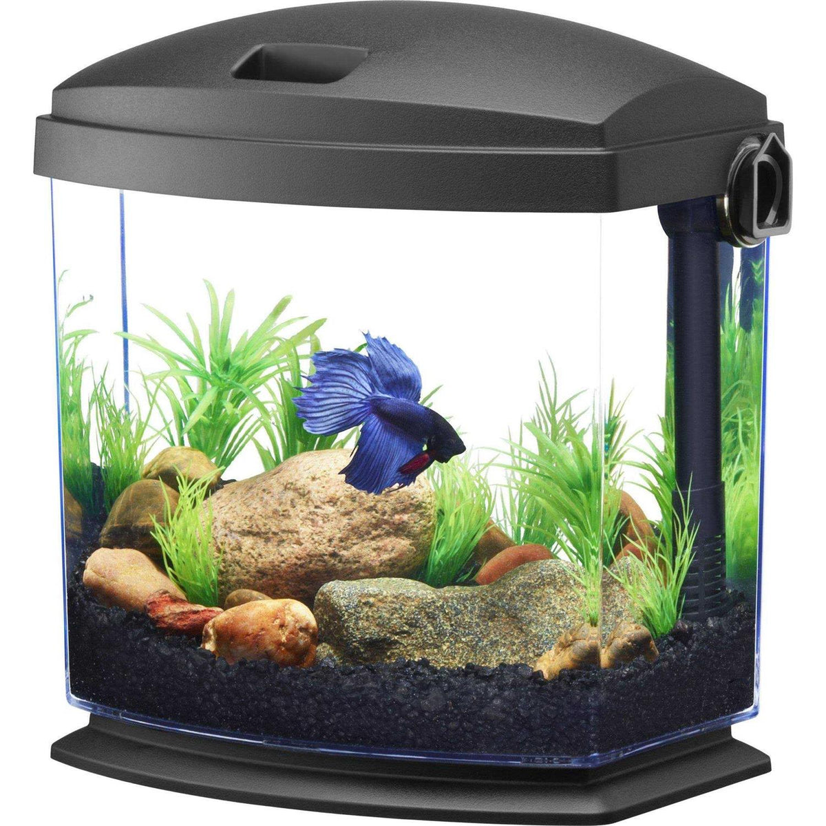 Black Aquarium Kit O8852