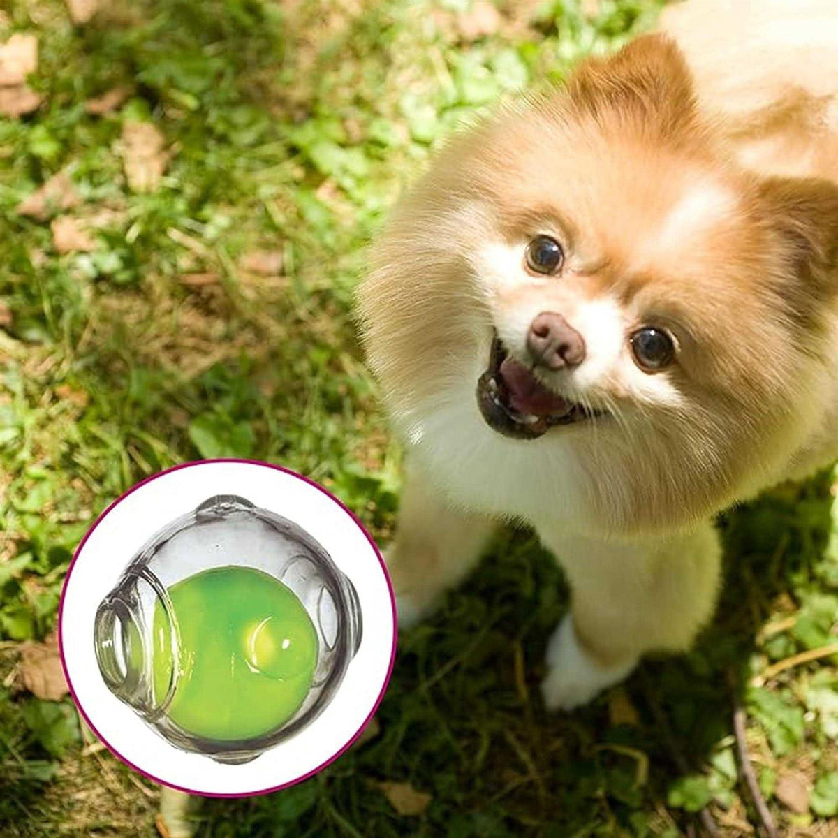 Squeaker Ball Pet W3410