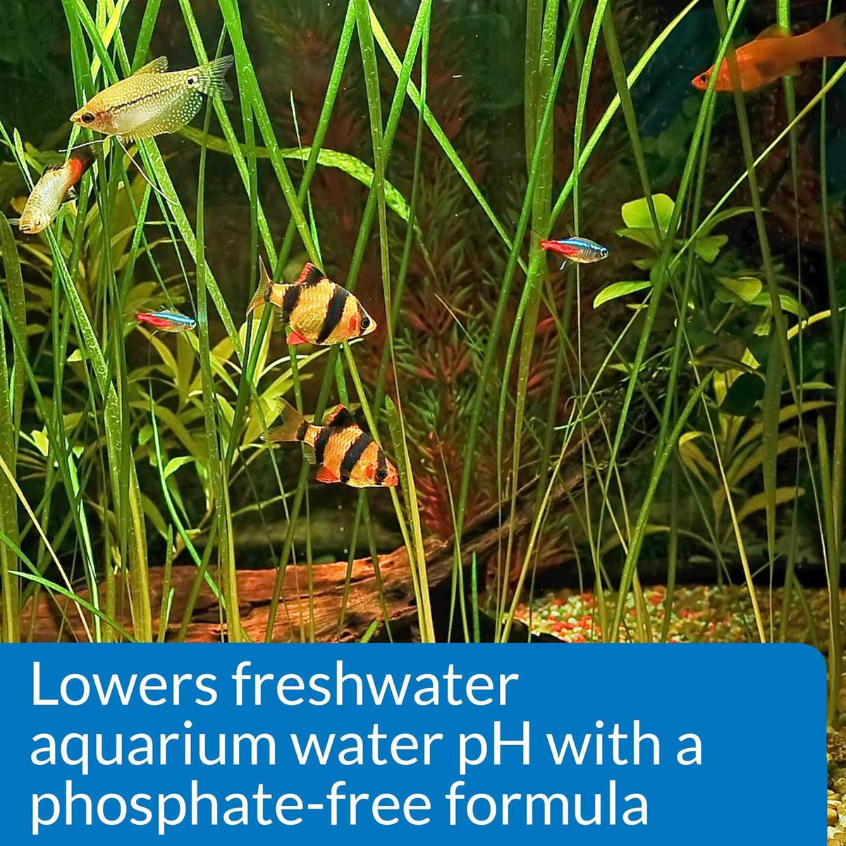 Aquarium pH Down B849282