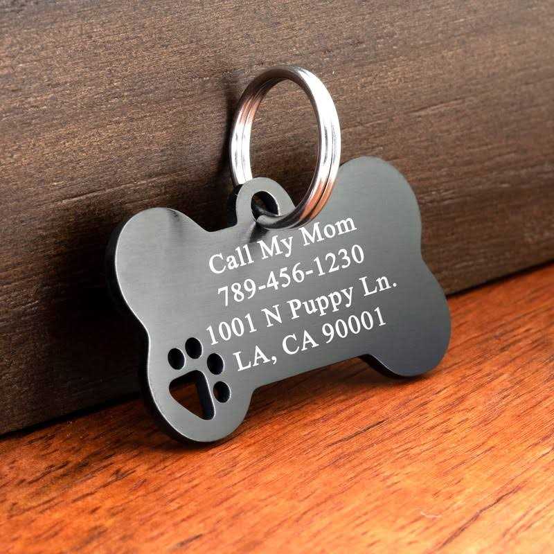 Stainless Steel Personalized Engraved Pet ID Tags U7472