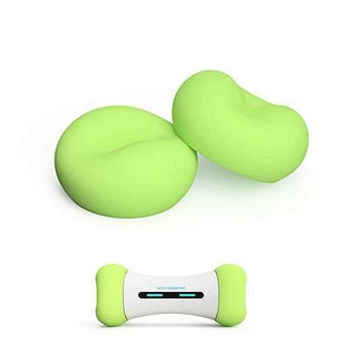 Interactive Dog Toy W46421